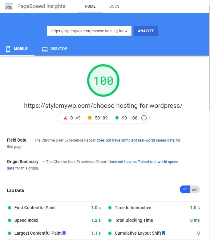 Stylemywp Pagespeed Insights