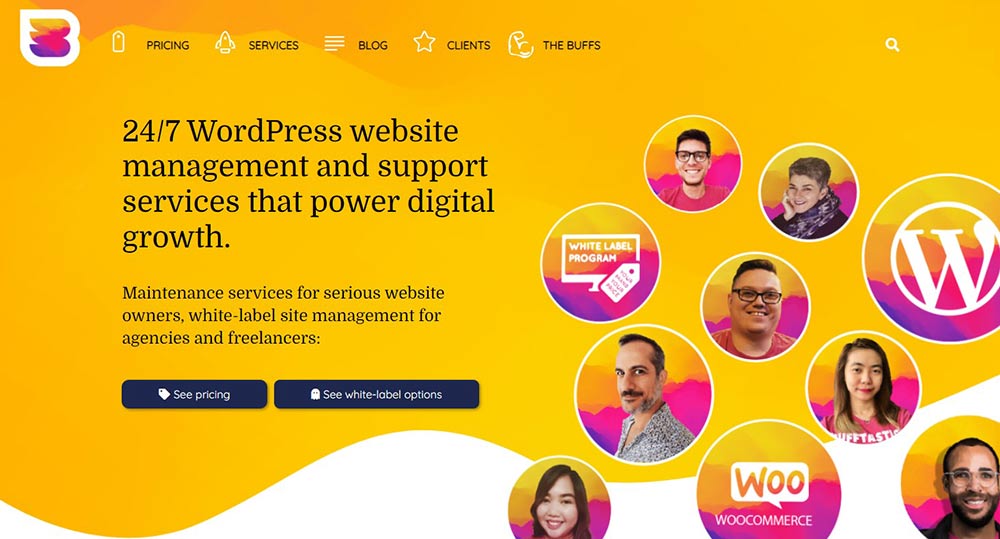 Wpbuffs Wordpress Maintenance Service Provider