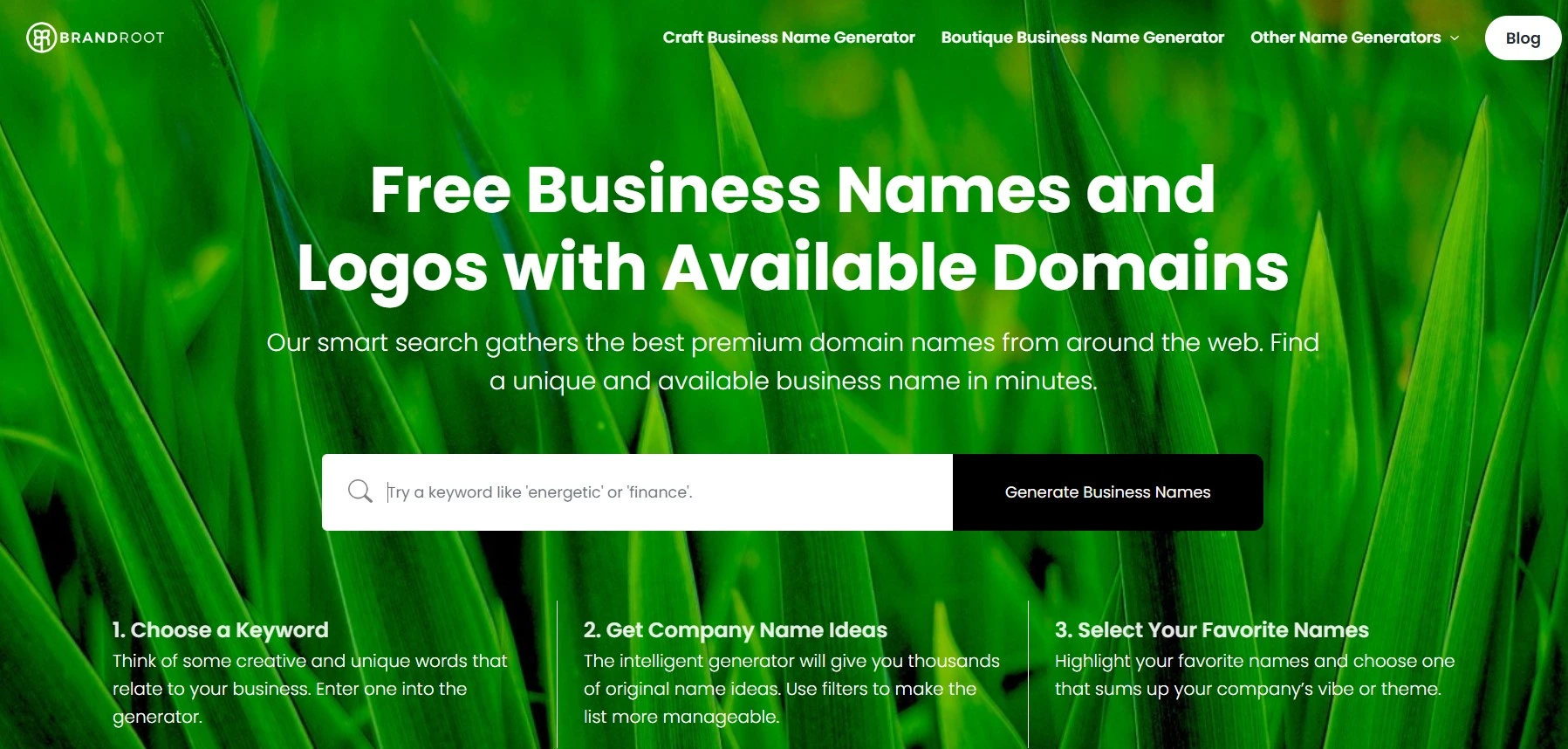 Brandroot Free Business Name Generator