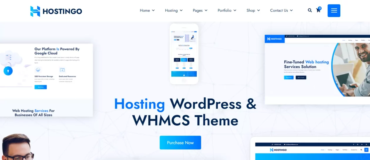 Hostingo-Wp-Theme