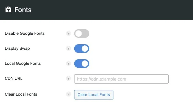 Perfmatters Google Fonts Hosting