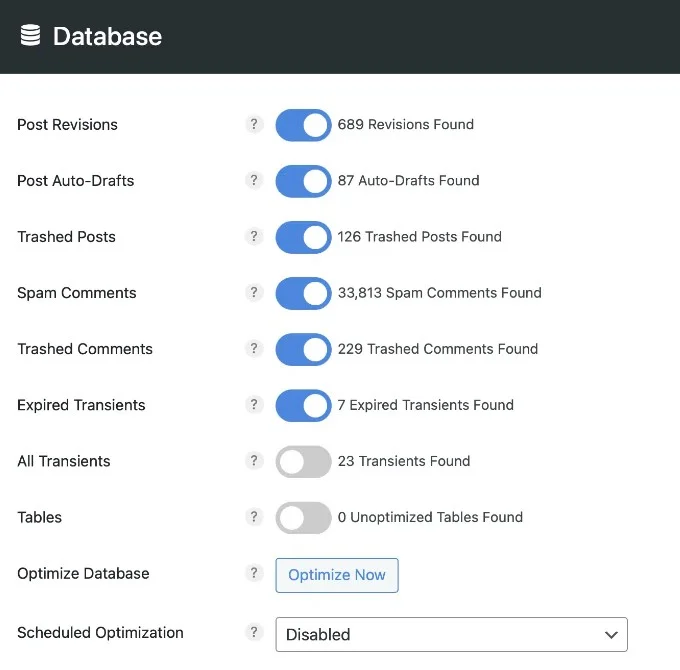 Perfmatters Quick-Toggle Features