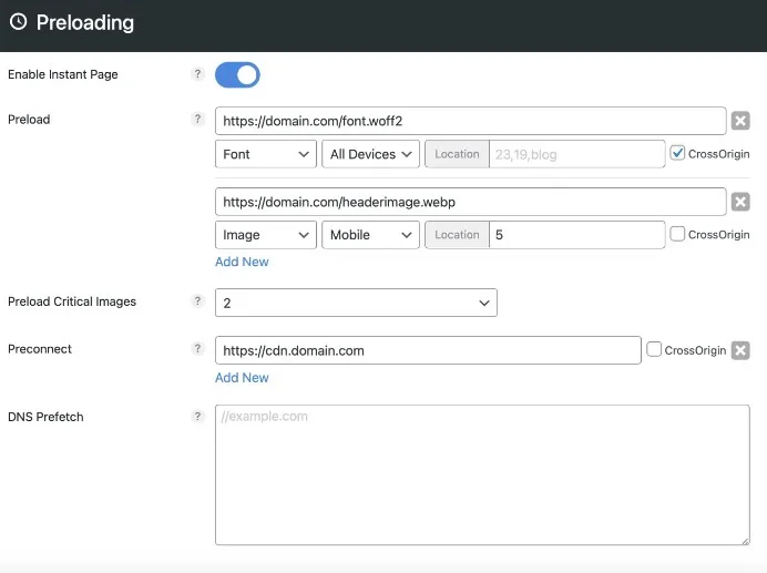 Perfmatters Unique Preloading Add-Ons